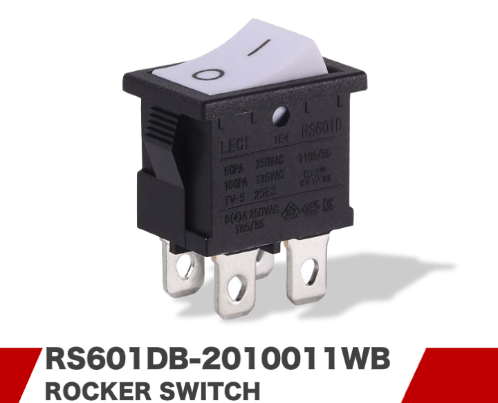 RS601DB-2010011WB