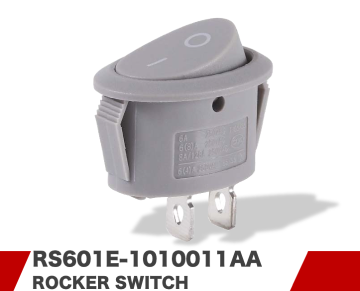 RS601E-1010011AA