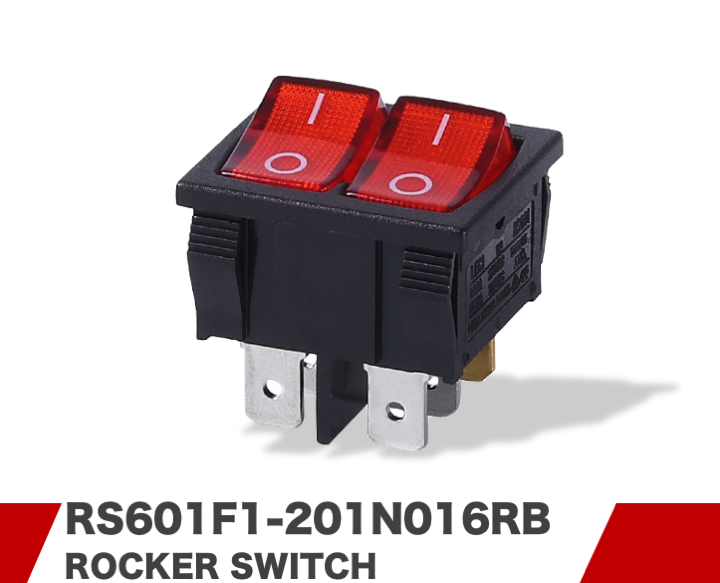 RS601F1-201N016RB