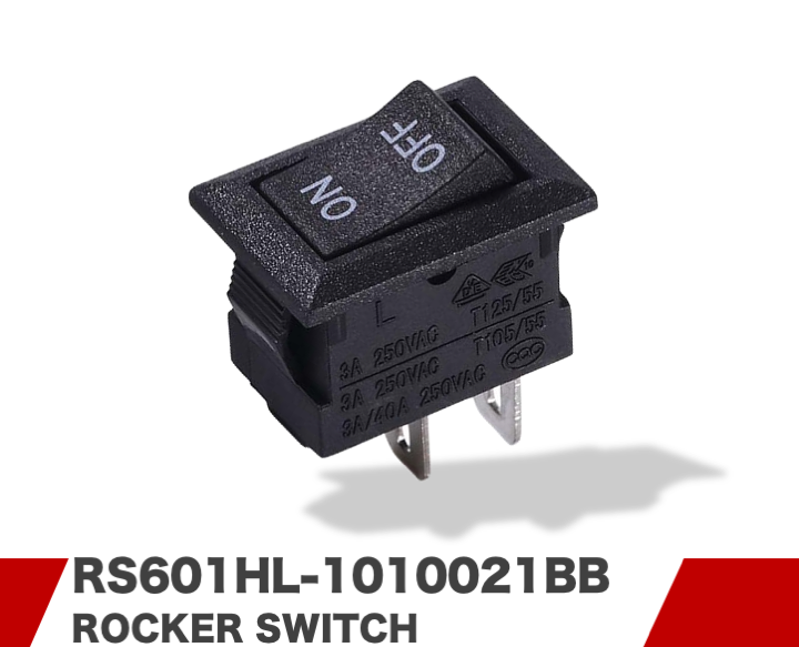 RS601HL-1010021BB