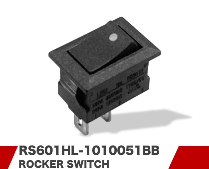 RS601HL-1010051BB