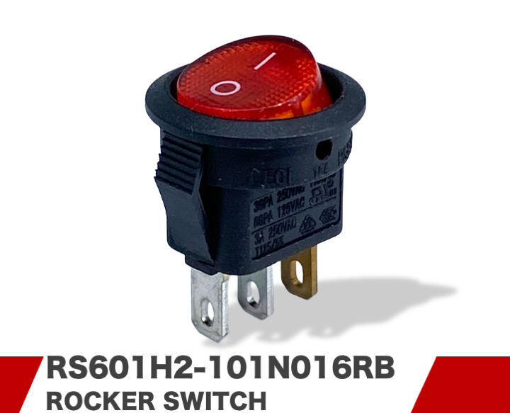 RS601H2-101N016RB