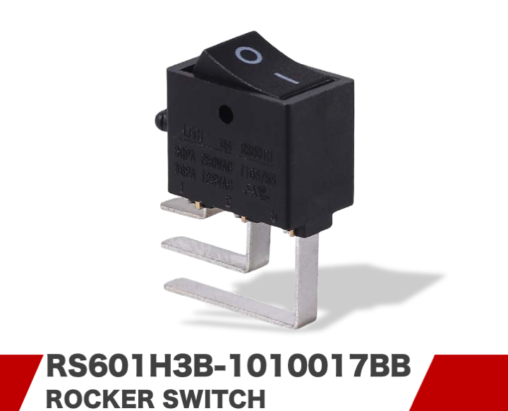 RS601H3B-1010017BB