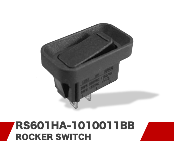 RS601HA-1010011BB