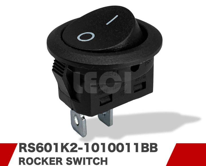 RS601K2-1010011BB