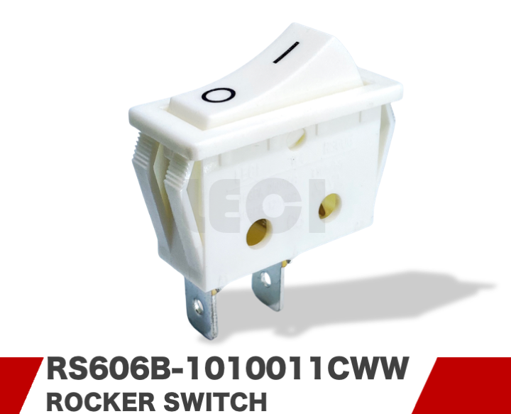 RS606B-1010011CWW