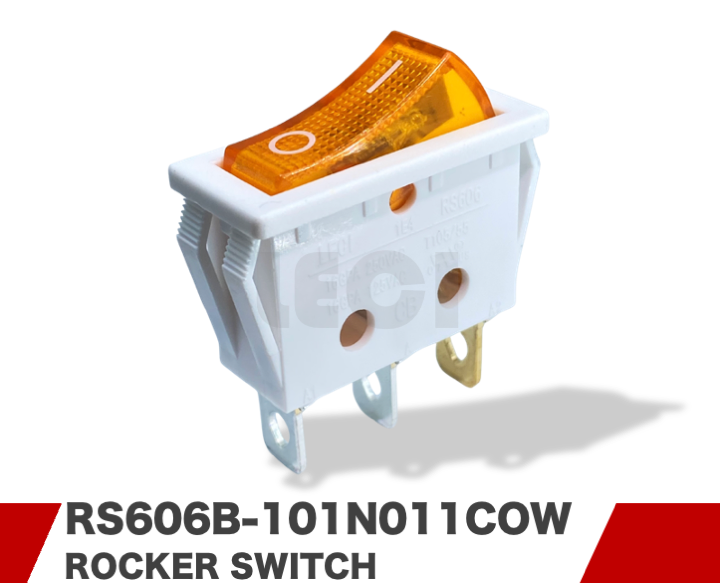 RS606B-101N011COW