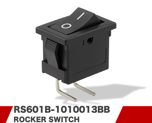 RS601B-1010013BB RS601B-1010013BB