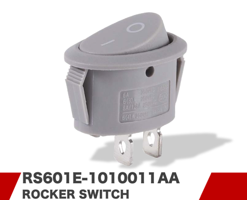 RS601E-1010011AA RS601E-1010011AA