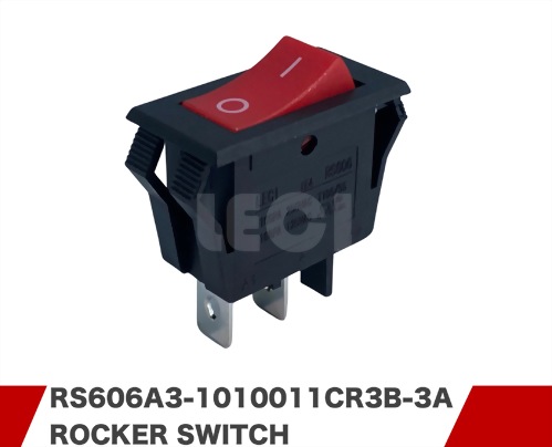 RS606A3-1010011CR3B-3A