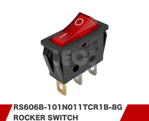 RS606B-101N011TCR1B-8G