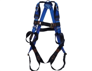 Harness with rescue loop