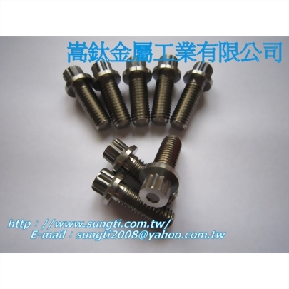 12角法蘭螺絲