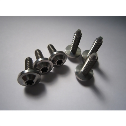 機車精品鐵板牙螺絲17L