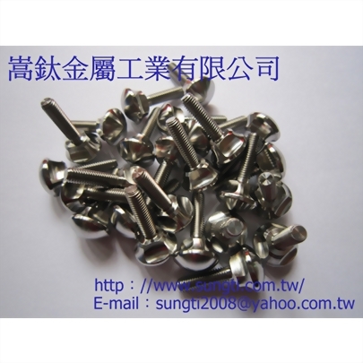 客製化鈦合金螺絲