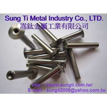 大扁頭中空螺絲