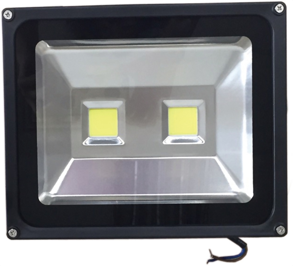 40瓦LED 泛光燈 - 雙光源