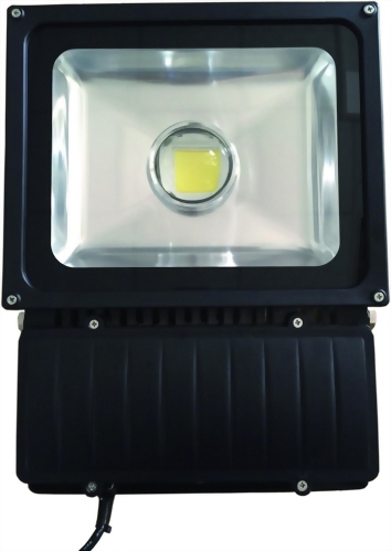 100瓦100W LED泛光燈 - 聚光型