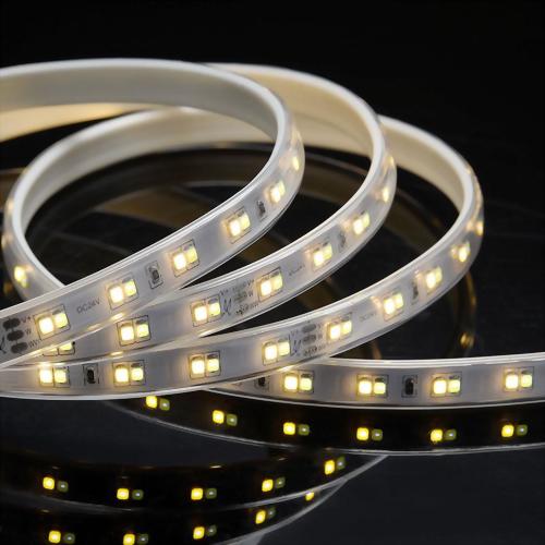 LED 雙色調光燈帶-DC24V