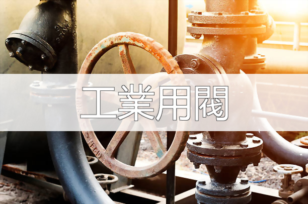 Industrial Valve Home