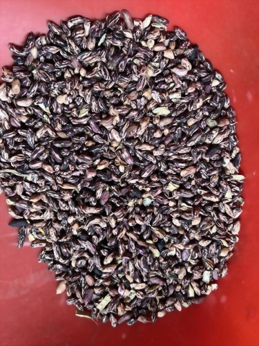 最新深度學習色彩機 測試完成