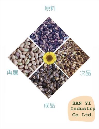 雜糧色選特級 sorting peanuts