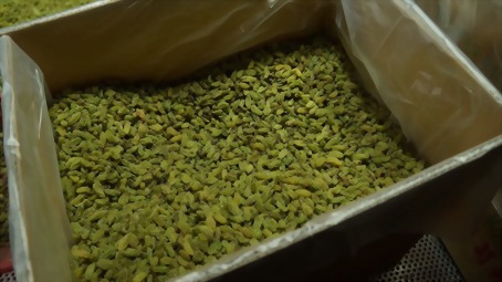 Green raisins
