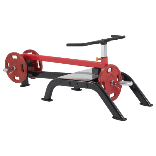 PLSTR Standing T-Bar Row