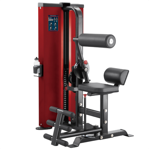 CL2AB Abs Curl / Back Extension