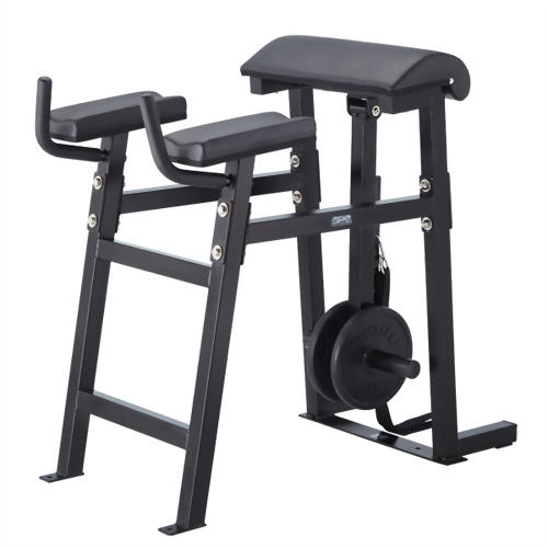 RH1 Reverse Hyper Extension