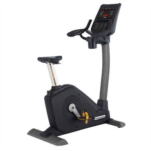 PB10 Upright Bike