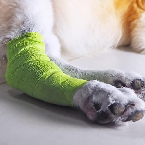 犬貓關節骨骼配方