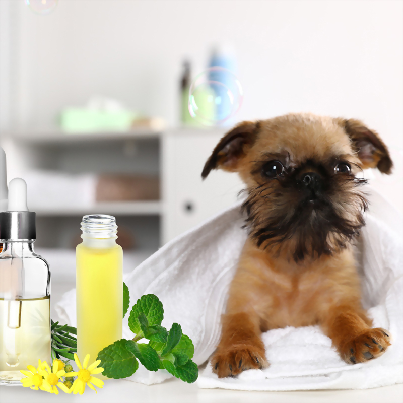 犬貓皮膚保養配方