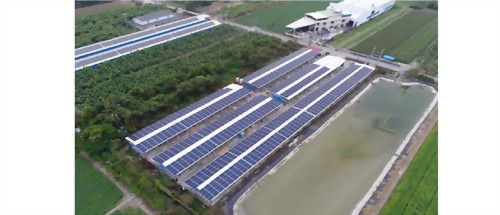 屏東萬丹私人畜牧場-360KWP