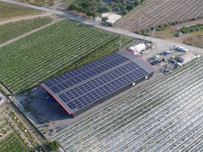 太陽能光電-溫室及集貨場