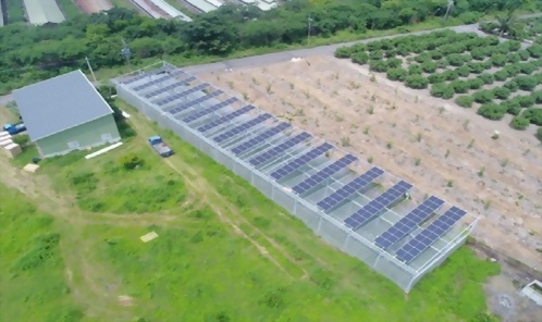 屏東枋寮私人溫室+集貨場51.2KWP