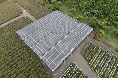 113年度再生能源電能躉購費率正式公告