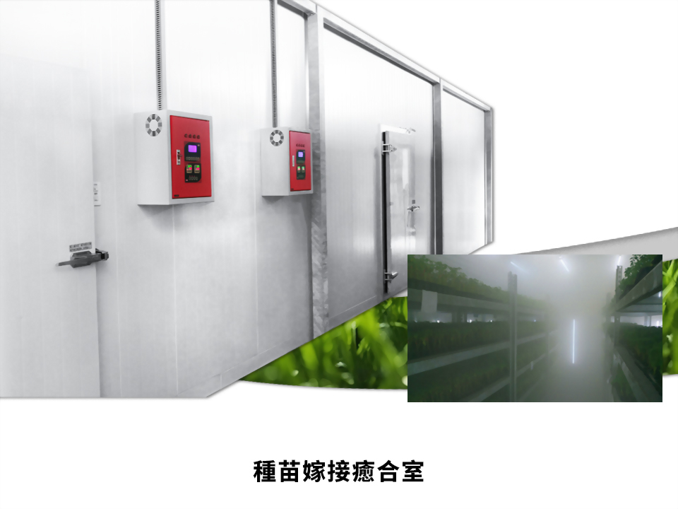 種苗嫁接癒合室、農業栽培設備規劃 - LS隆盛精密工業