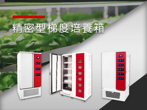 精密型梯度培養箱