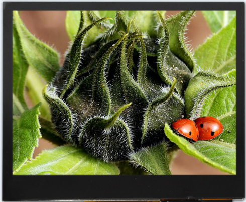 3-50-inch-320x240-tft-display-btf035a-awc-btf035a-awc