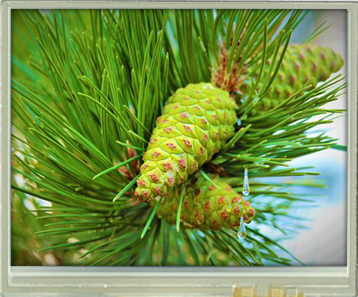 3-50-inch-320x240-tft-display-btf035b-bwr-btf035b-bwr