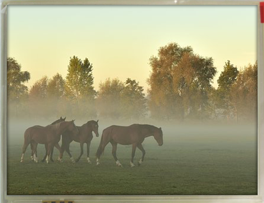 5-70-inch-640x480-tft-display-btf057a-ahr-btf057a-ahr