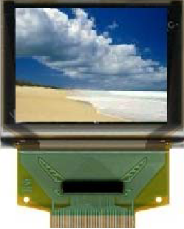 128x96 OLED LCD Modules | BL12896D