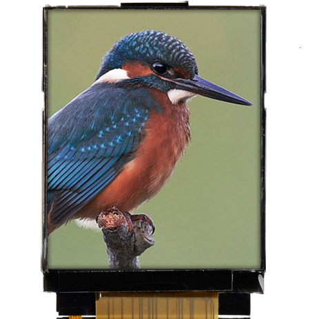 1.77 inch 128x160 TFT Display | BTF0177A-EHN$