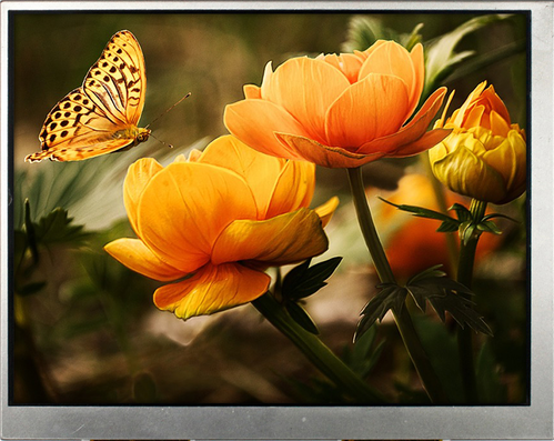 5.70 inch 640x480 TFT Display | BTF057A-AHN$
