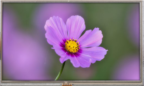 7.00 inch 800x480 TFT Display | BTF070B-ABR$