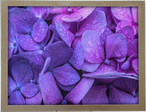 8.00 inch 800x600 TFT Display | BTF080A-AWN$