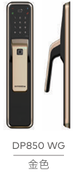 DP850/AS850智慧推拉式電子鎖