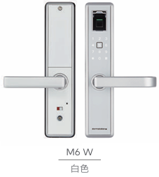 Merlion M6智慧電子鎖