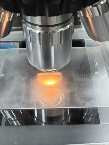 Wafer Fabrication & Advanced Semiconductor Packaging